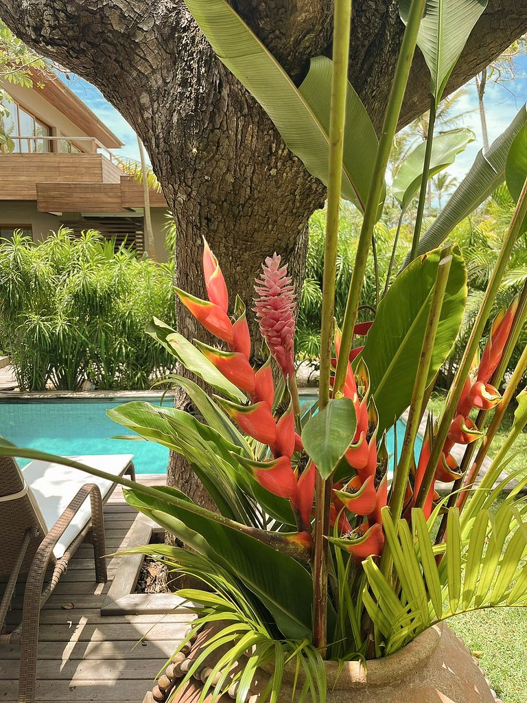 Villa Caju - Arraial D'Ajuda