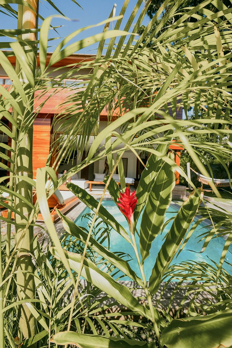 Villa Pantera - Falésia